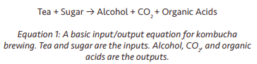 Input Output Equation for Kombucha